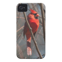 Cardinal iPhone 4/4S Barely There Case Iphone 4 Covers
