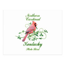 Cardinal Kentucky State Bird postcards