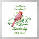 Cardinal Kentucky State Bird posters