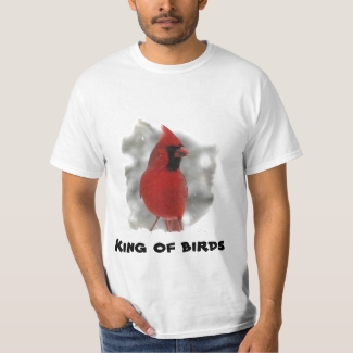 Cardinal - King of birds