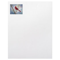 cardinal letterhead