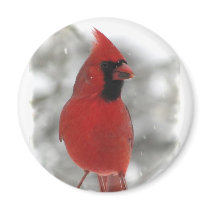Cardinal Magnets