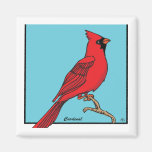 CARDINAL MAGNETS