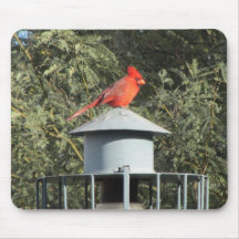 Cardinal Mousepad