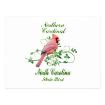 Cardinal North Carolina State Bird Post Cards