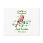 Cardinal North Carolina State Bird