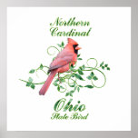 Cardinal Ohio State Bird posters