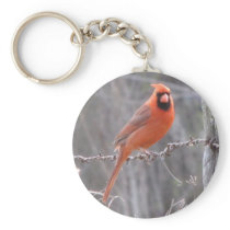 Cardinal on barbed wire keychain
