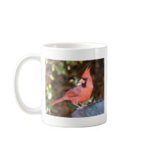 Cardinal on Bird Bath Mug