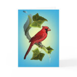 Cardinal on Branch with Ivy Leaves