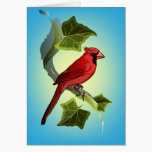 Cardinal on Branch with Ivy Leaves cards