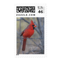 Cardinal on fence - 2009 postage