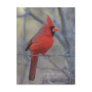 Cardinal on fence - 2009 post card