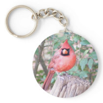 Cardinal on Post keychains