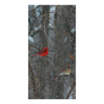 Cardinal Pair