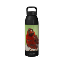 Cardinal Photo Water Bottle
