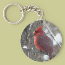 Cardinal photograph-song bird in winter Key Chain keychains