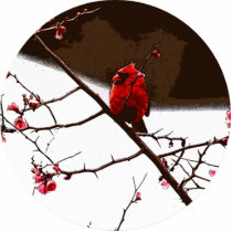 Cardinal photo sculptures by BisforBirds Cardinal photo sculptures