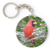 Cardinal Portrait keychains