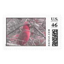 Cardinal postage