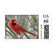 Cardinal postage