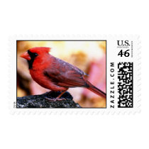 Cardinal Stamps