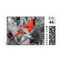cardinal postage stamp