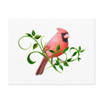 Cardinal postcards