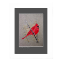 Cardinal posters by pawtraitart Cardinal posters