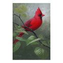 Cardinal posters by oldgraphite Cardinal posters