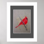 Cardinal posters