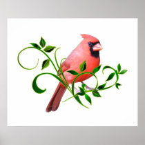 Cardinal Poster