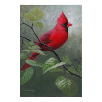 Cardinal posters