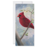 cardinal rackcard rack card design