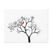 Cardinal Red Bird in Snowy Winter Tree postcards
