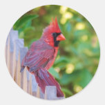 Cardinal Round Stickers