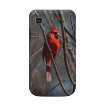 Cardinal Samsung Galaxy Case