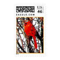 Cardinal Stamp