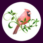 Cardinal