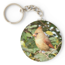 Cardinal Sweetness keychains