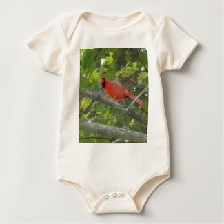 Cardinal shirt