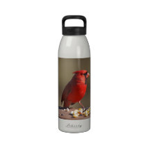 Cardinal Water Bottle
