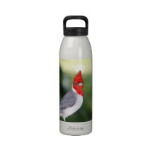 Cardinal Water Bottle