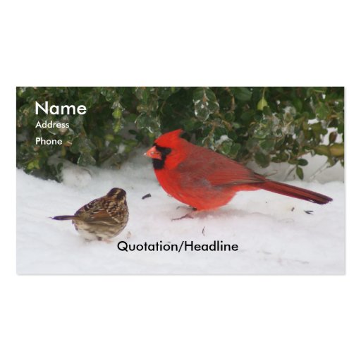 Cardinal with Sparrow Business Cards (front side)