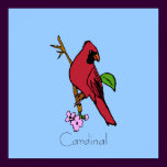 CardinalbyJennieK, Cardinal