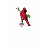 CardinalbyJennieK