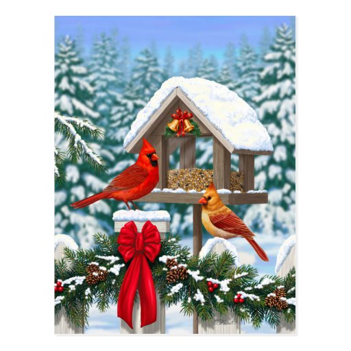 cardinals and christmas bird feeder postcard zazzle cardinals and christmas bird feeder postcard zazzle