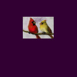 Cardinals Bird Art Ladies Shirt