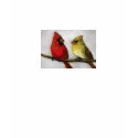 Cardinals Bird Art Ladies Shirt by CharlottesWebArt Cardinals Bird Art Ladies Shirt