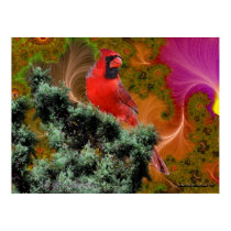 Cardinals Dreams posters by SlayerX Cardinals Dreams posters